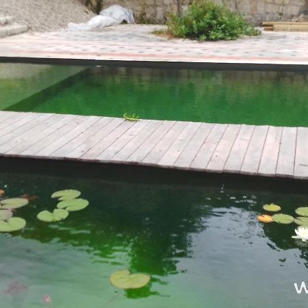 Gite Les Cabanes De Fallot Pour 15 Personnes - Piscine Naturelle L'isle-Bouzon Esterno foto