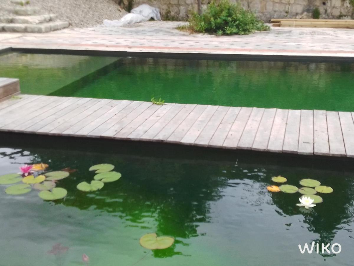 Gite Les Cabanes De Fallot Pour 15 Personnes - Piscine Naturelle L'isle-Bouzon Esterno foto