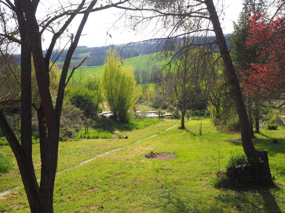 Gite Les Cabanes De Fallot Pour 15 Personnes - Piscine Naturelle L'isle-Bouzon Esterno foto