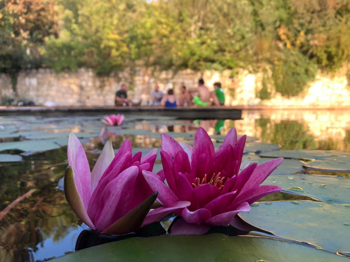 Gite Les Cabanes De Fallot Pour 15 Personnes - Piscine Naturelle L'isle-Bouzon Esterno foto