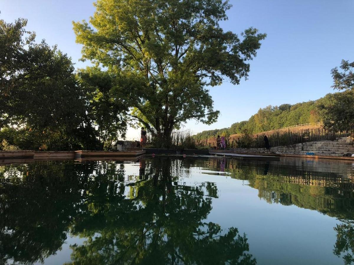 Gite Les Cabanes De Fallot Pour 15 Personnes - Piscine Naturelle L'isle-Bouzon Esterno foto
